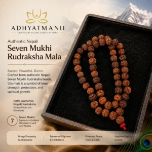7 mukhi nepali rudraksh
