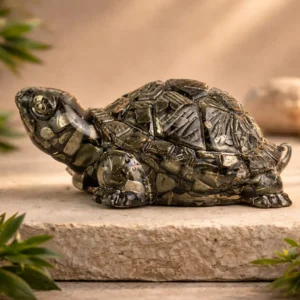 Pyrite turtle